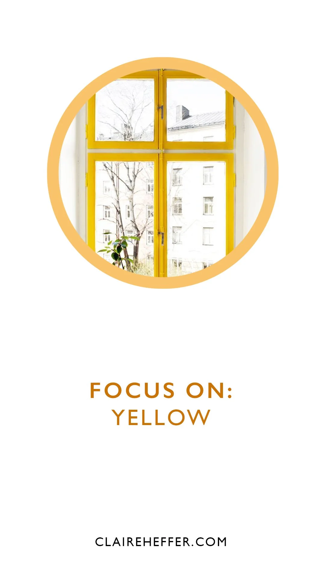 FOCUS ON: YELLOW