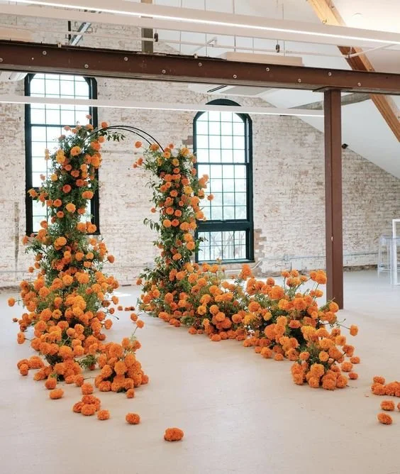  Orange jacket, jacket, fashion, fashionista, colour trend, bold colours, balloons, backdrop, party, design, graphic design , orange, bright colours, colour guide, invite, stationary, leopard, hat, colourful home accessories, accessories, oranges, va