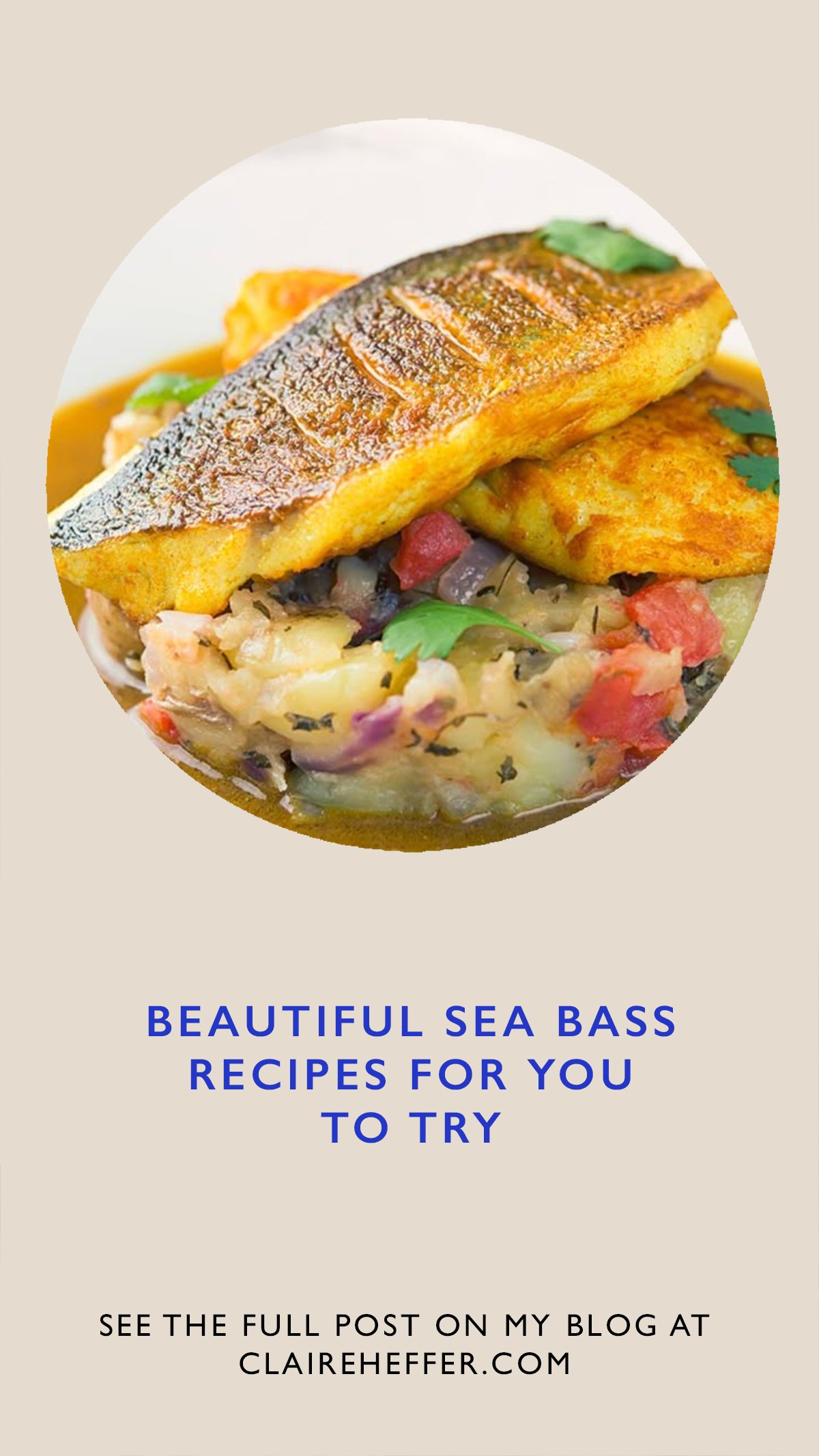  The Most Amazing Seafood Recipes From Around The Internet, Beautiful Tuna Recipes For You To Try, Seafood Recipes For Summer, Delicious Asian Seafood Recipes, Seafood Recipe Inspiration, Scallop Recipe Ideas, Wonderful Healthy Fish Recipes, Great Se