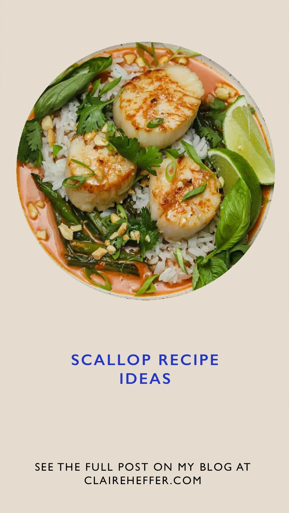  The Most Amazing Seafood Recipes From Around The Internet, Beautiful Tuna Recipes For You To Try, Seafood Recipes For Summer, Delicious Asian Seafood Recipes, Seafood Recipe Inspiration, Scallop Recipe Ideas, Wonderful Healthy Fish Recipes, Great Se