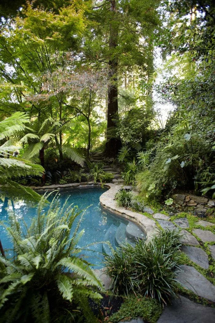 700_mill-valley-14.jpg