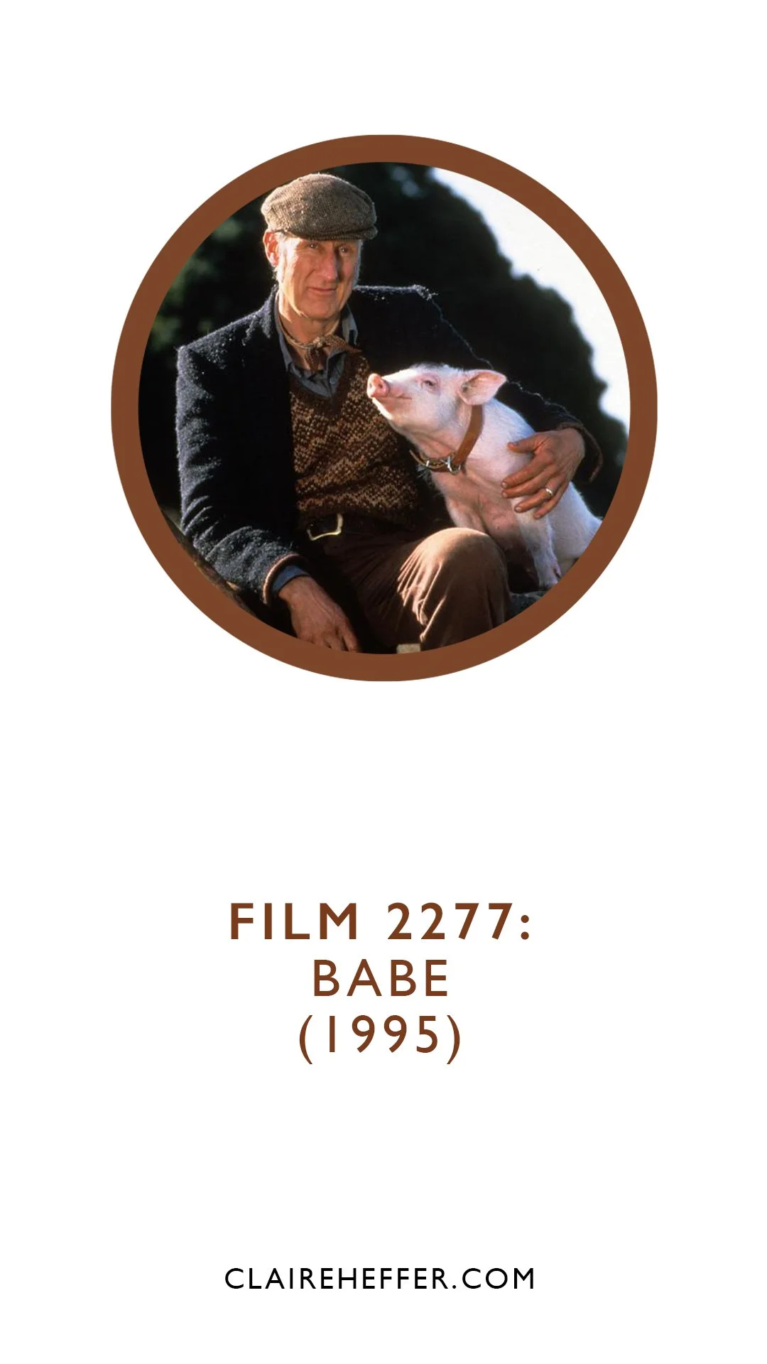 FILM 2277: BABE&nbsp;(1995)