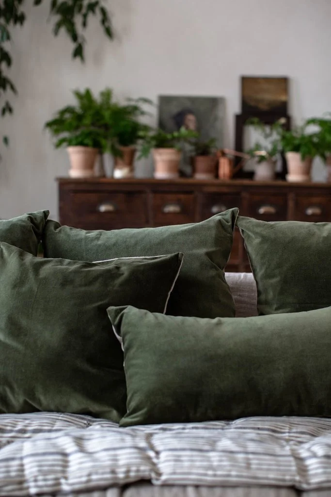 mindful-home-living-room-close-up-velvet-cushions.jpg