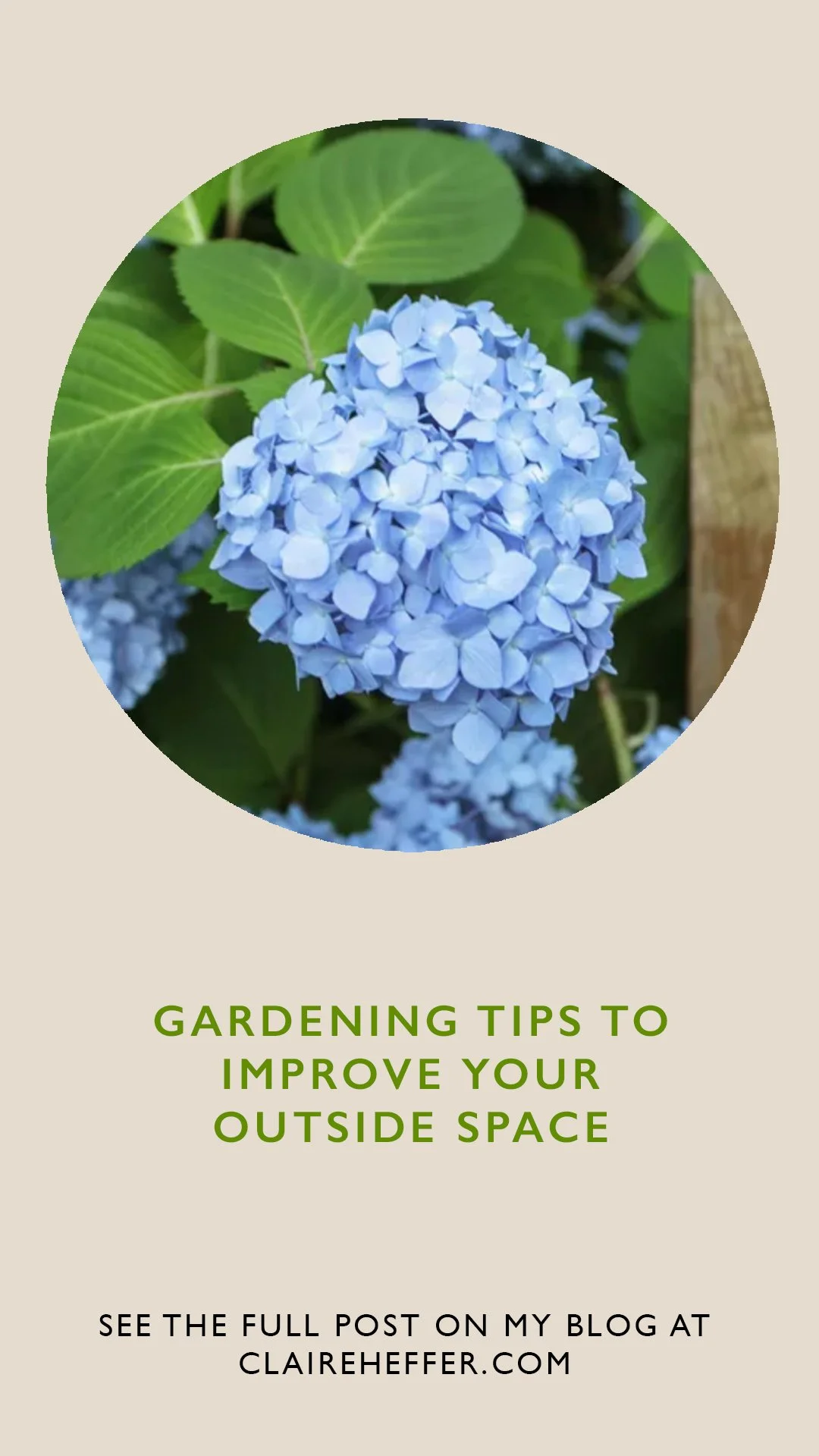 _GARDEN copy49.jpg
