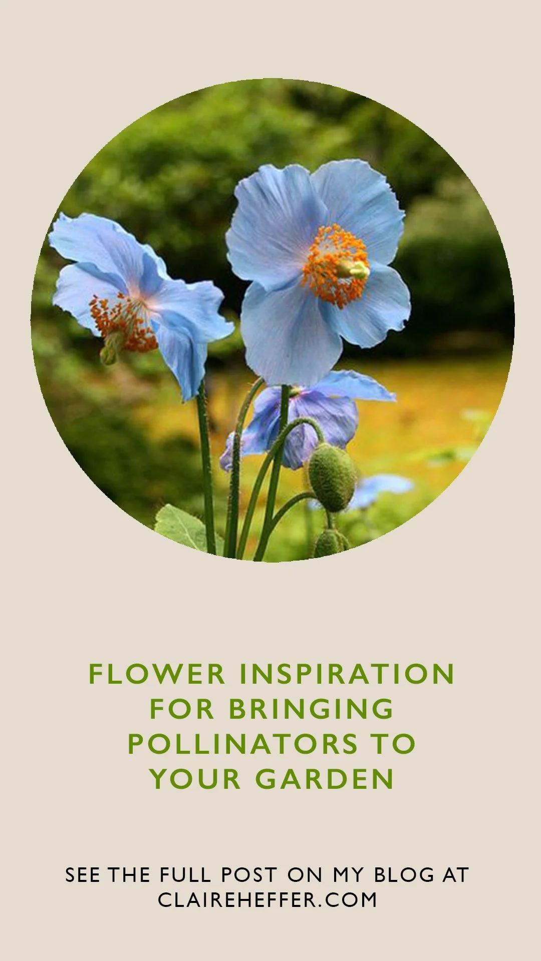 _GARDEN copy42.jpg