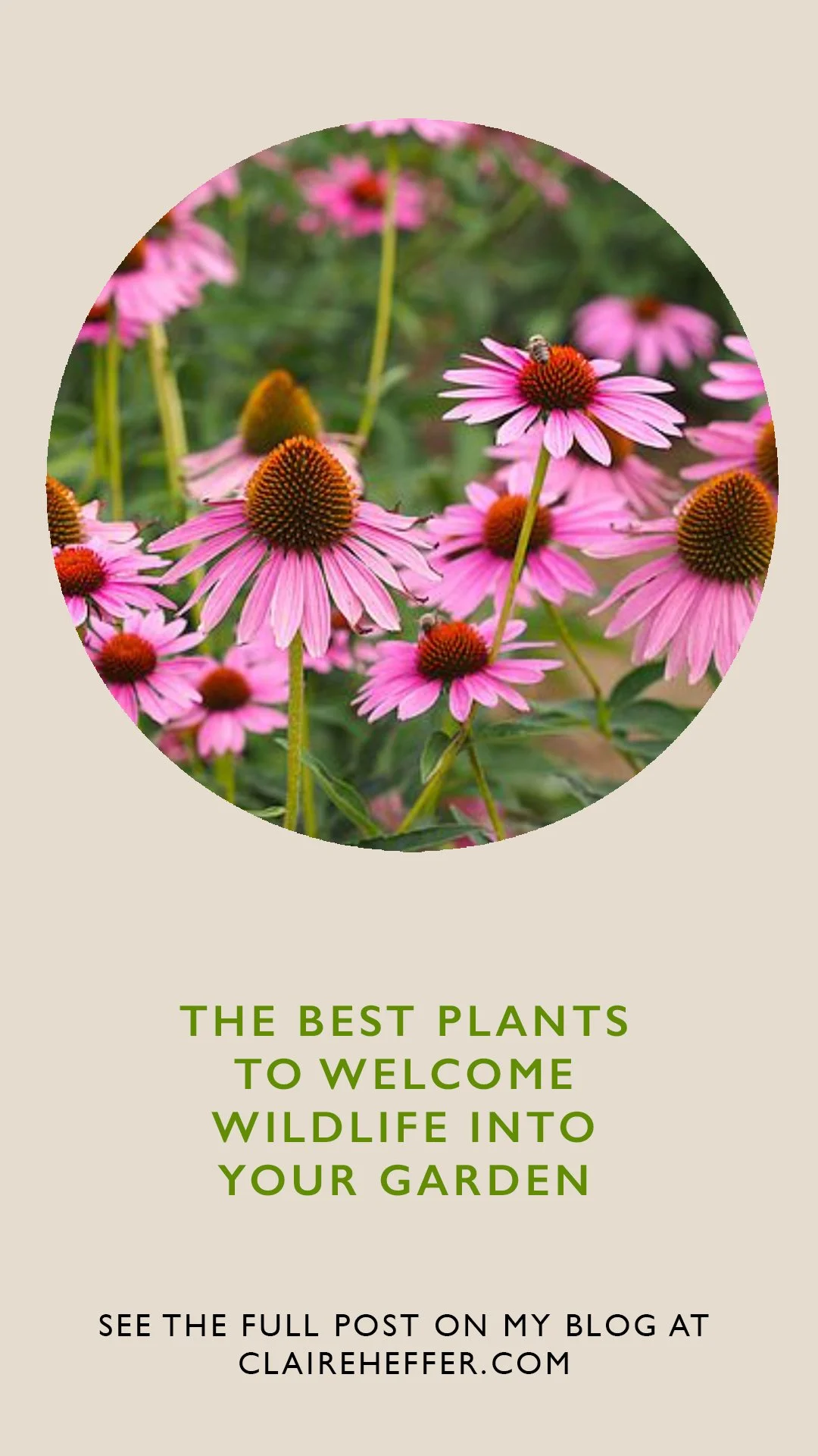 _GARDEN copy3.jpg