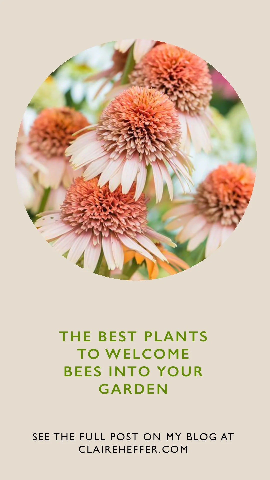 _GARDEN2.jpg