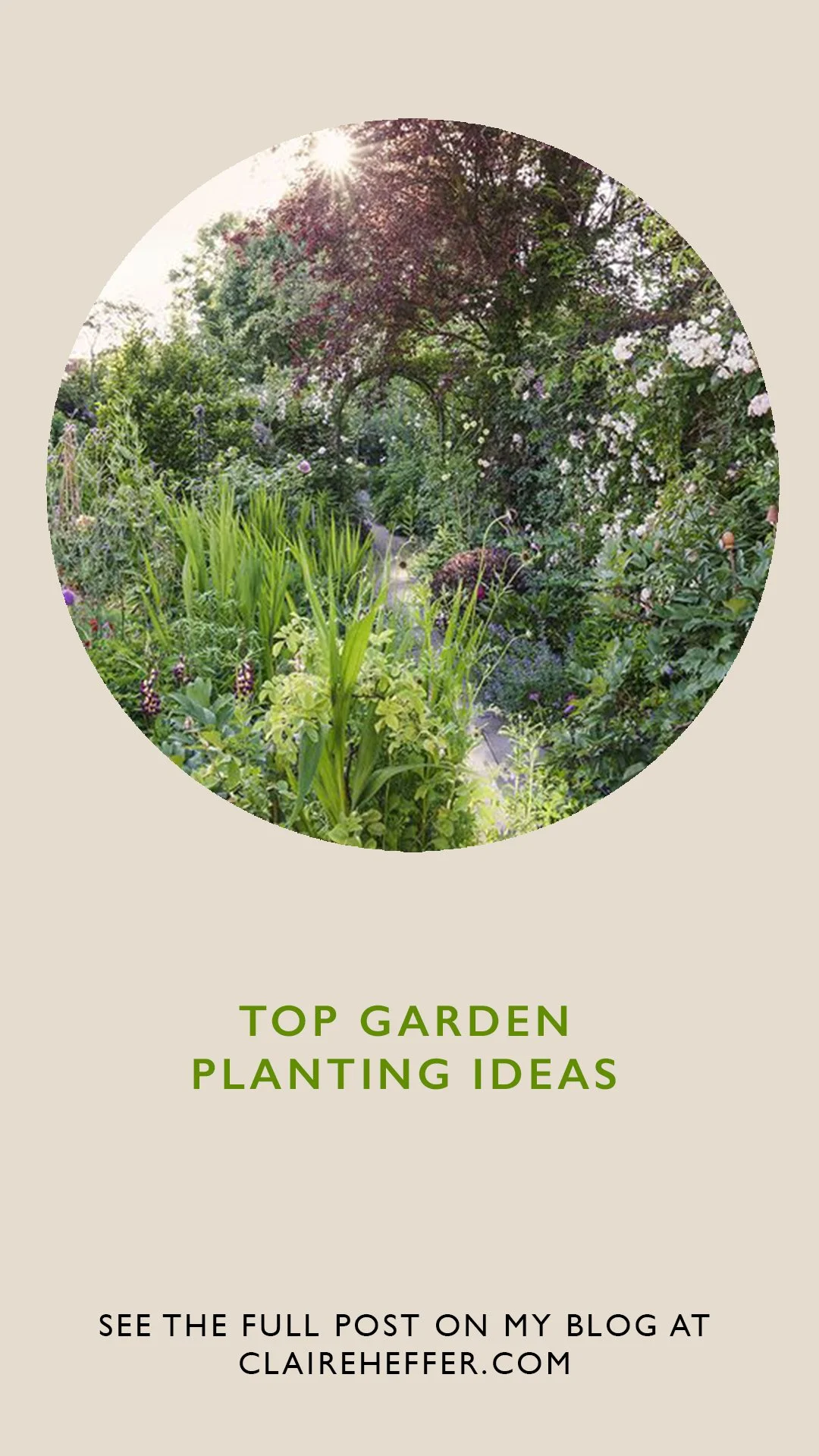 _GARDEN6.jpg
