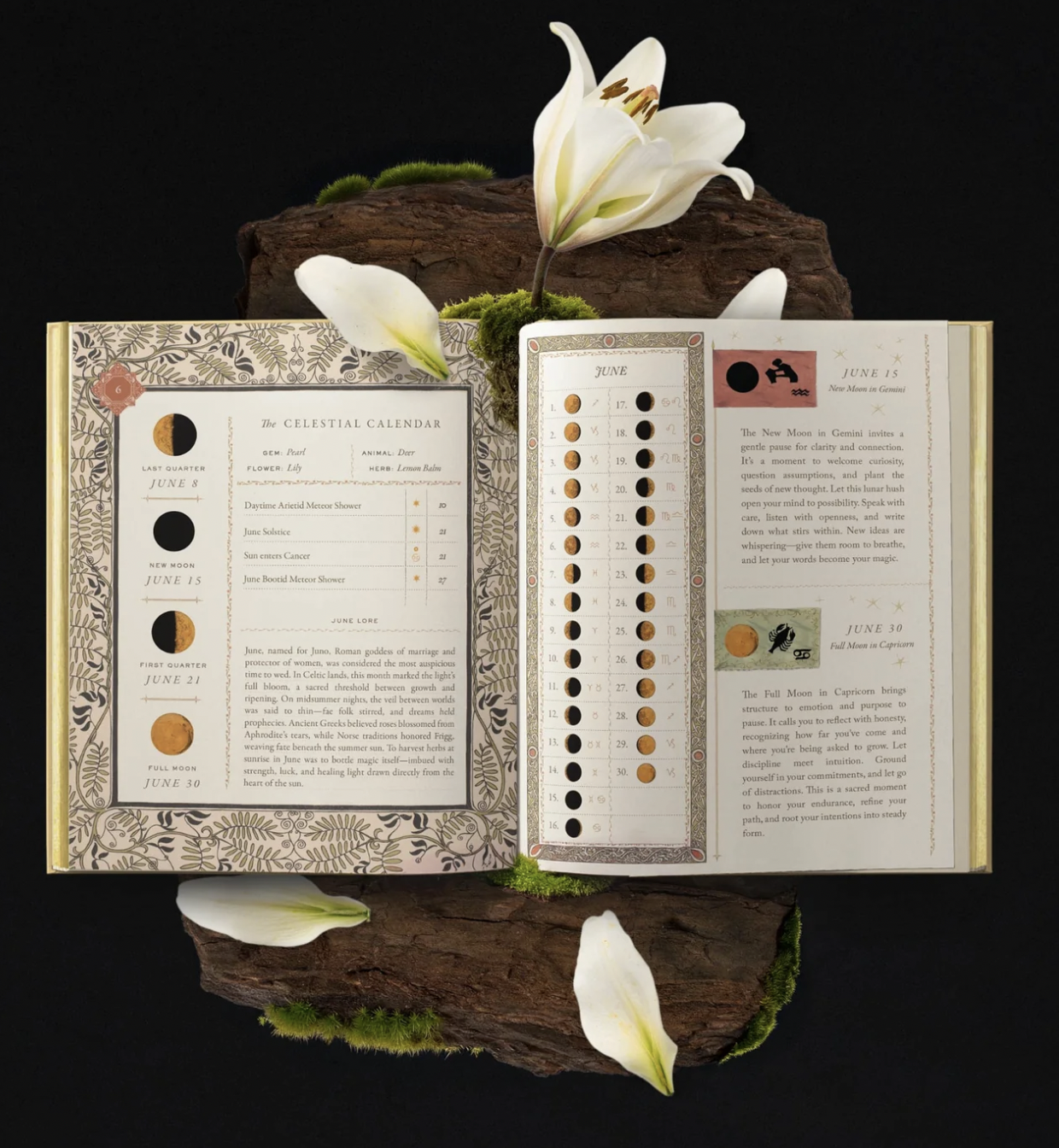 Screenshot 2026-01-26 at 10.57.07.png