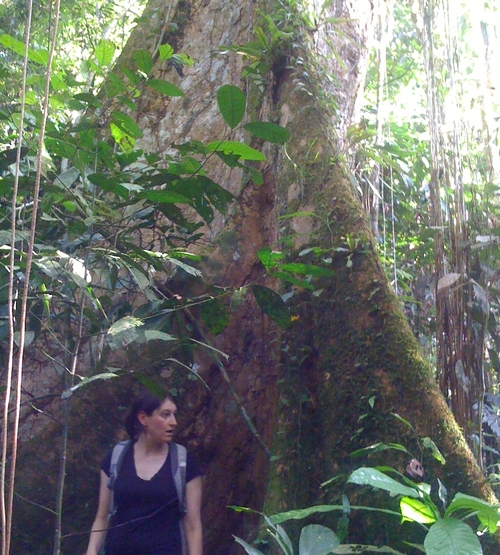 author photo tree.jpg