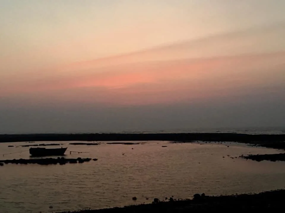 2_Unmoored_Dr+Pallavi+Narayan+(1).jpg
