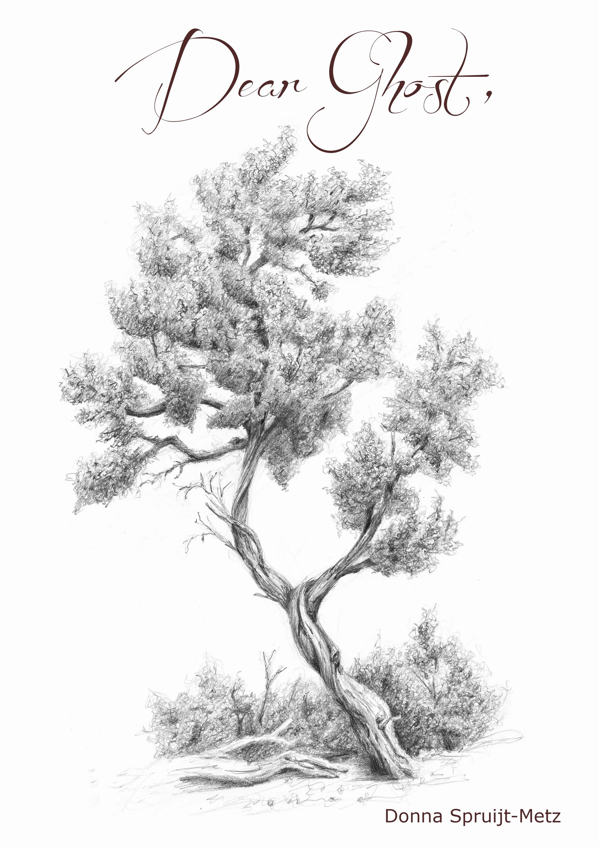 Cover 1 revised 2.jpg
