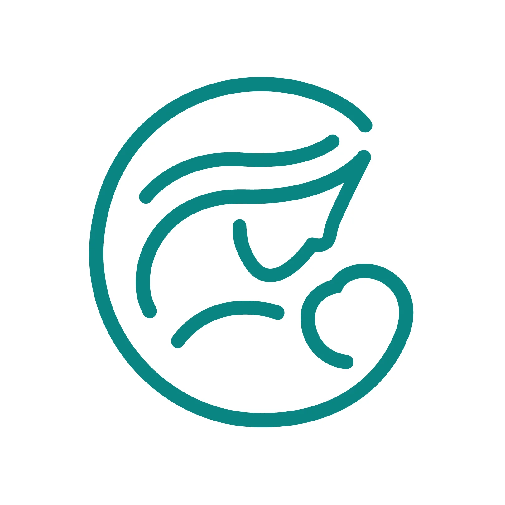 Embryo Connections icon