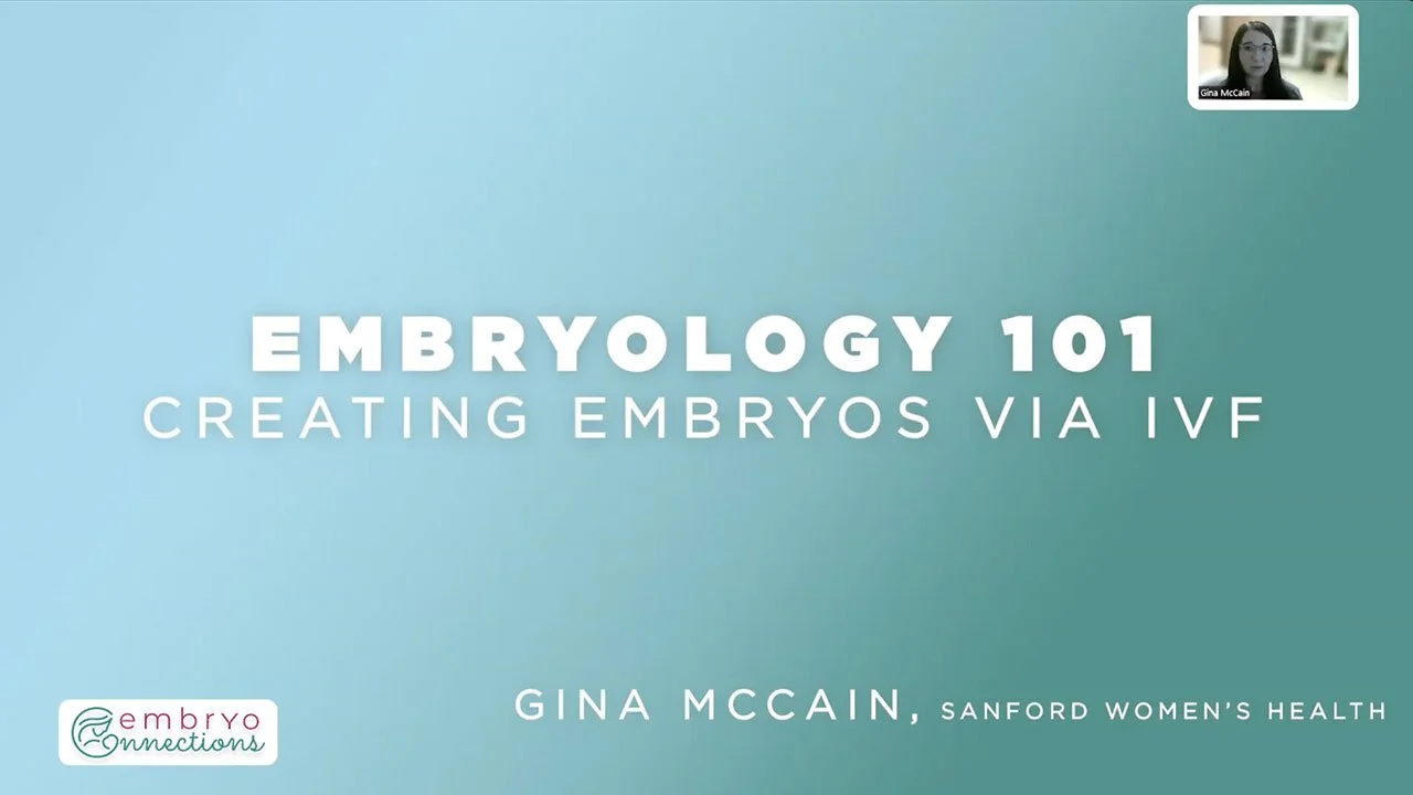 Embryology 101: How Embryos Are Created Through IVF
