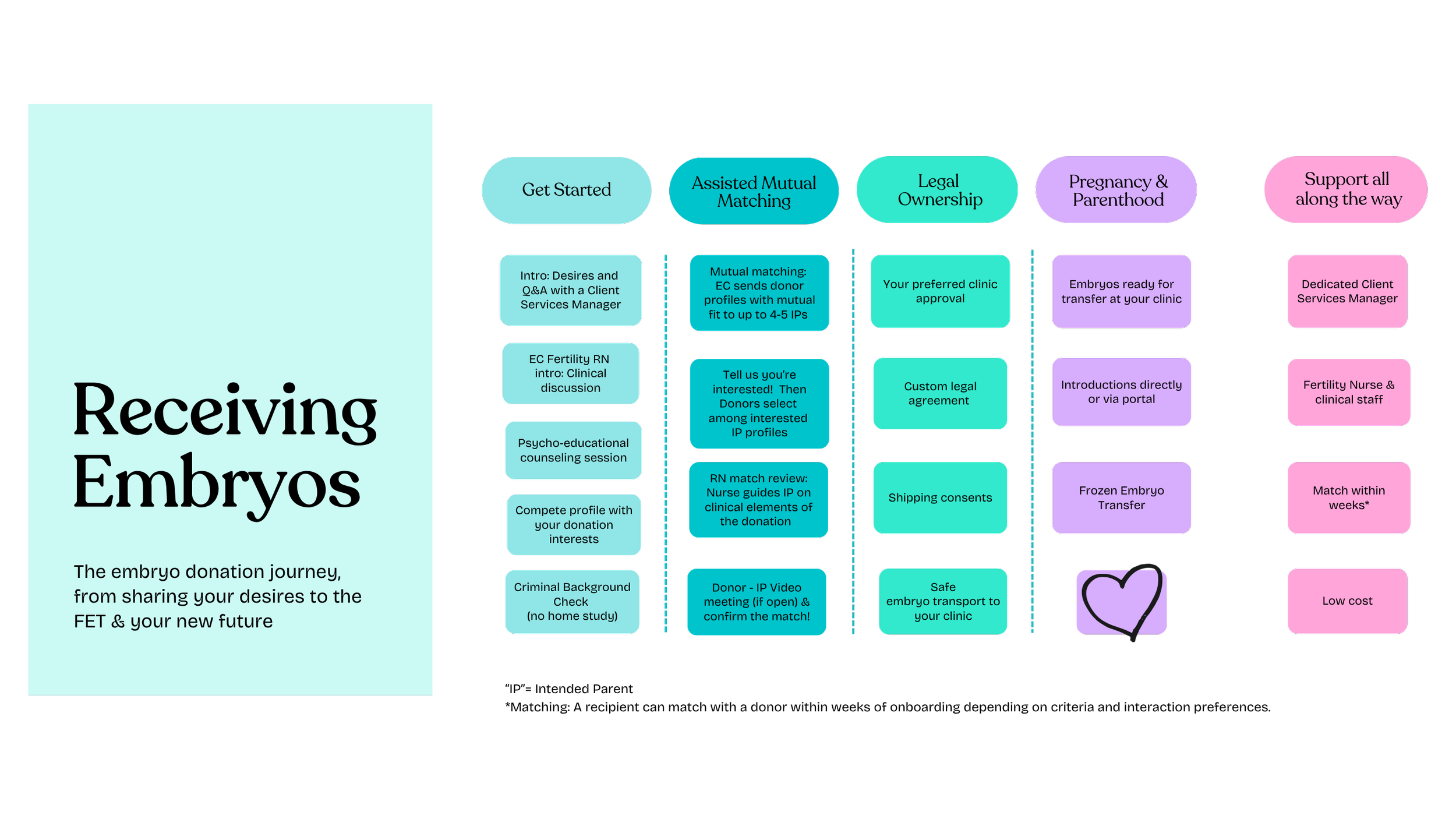 Recipients — Embryo Connections