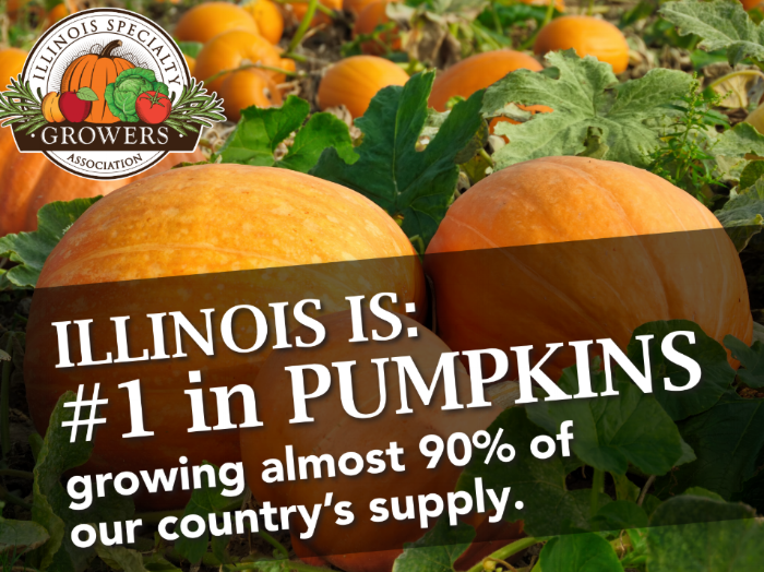 Screenshot 2018-09-27 at 7.27.41 PM.png