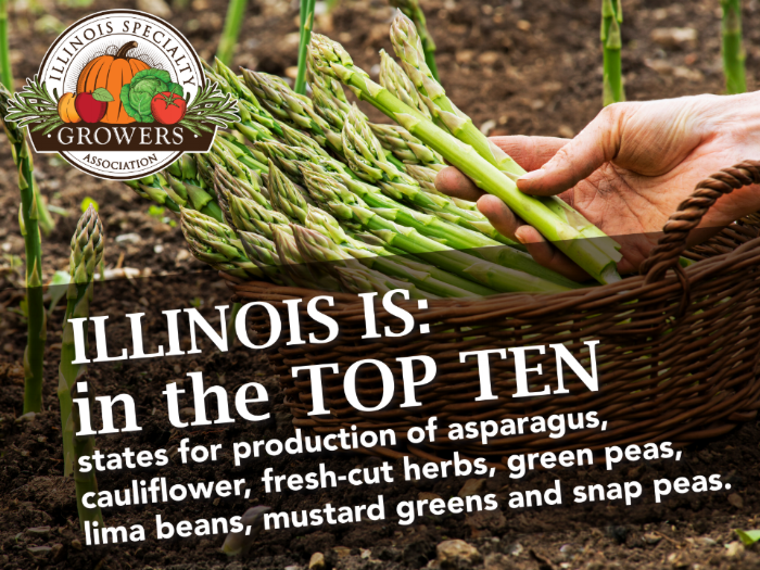 Screenshot 2018-09-27 at 7.27.29 PM.png