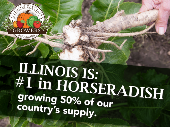 Screenshot 2018-09-27 at 7.34.26 PM.png