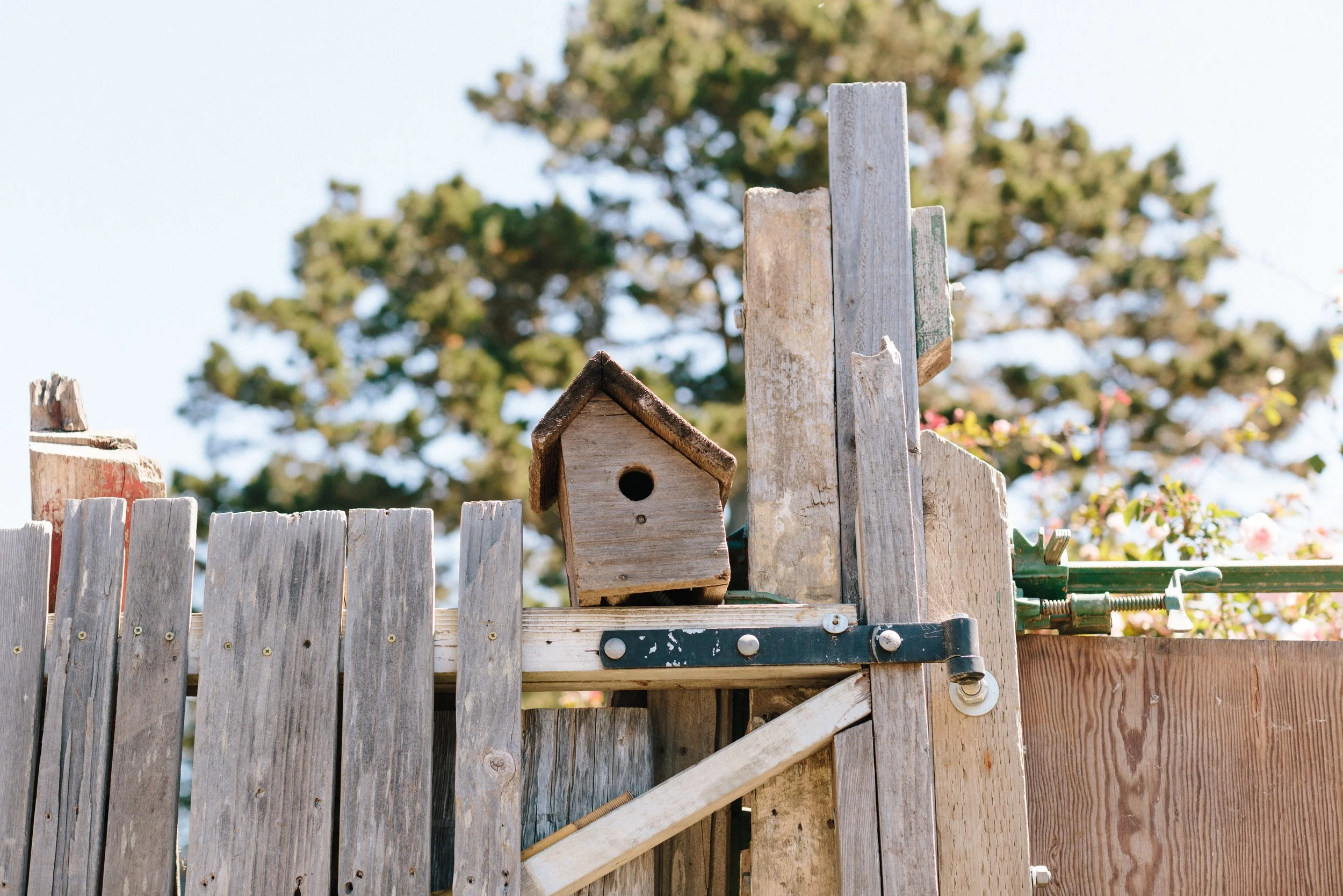 Affordable Housing — Bolinas Community Land Trust
