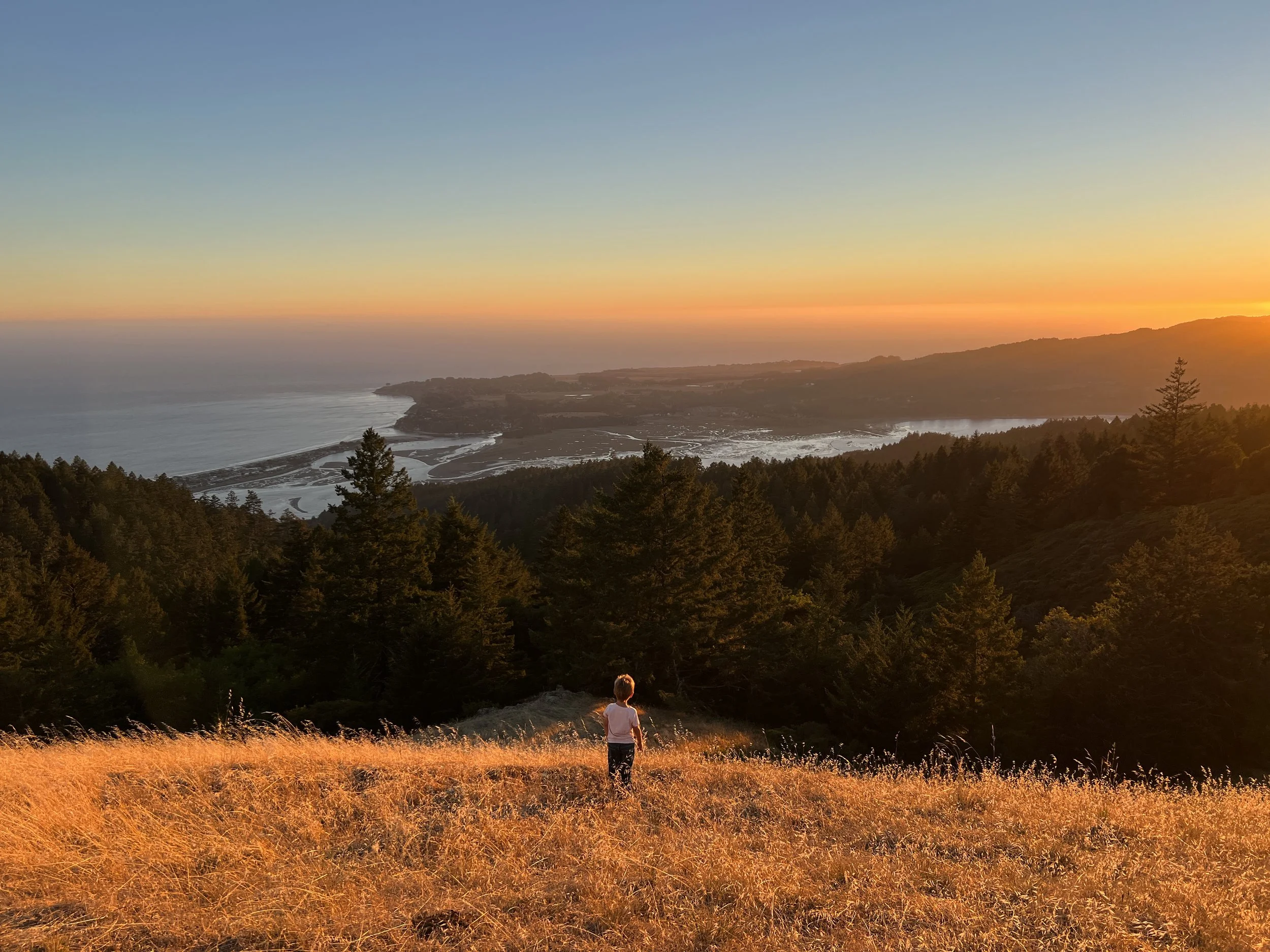 Our Needs — Bolinas Community Land Trust