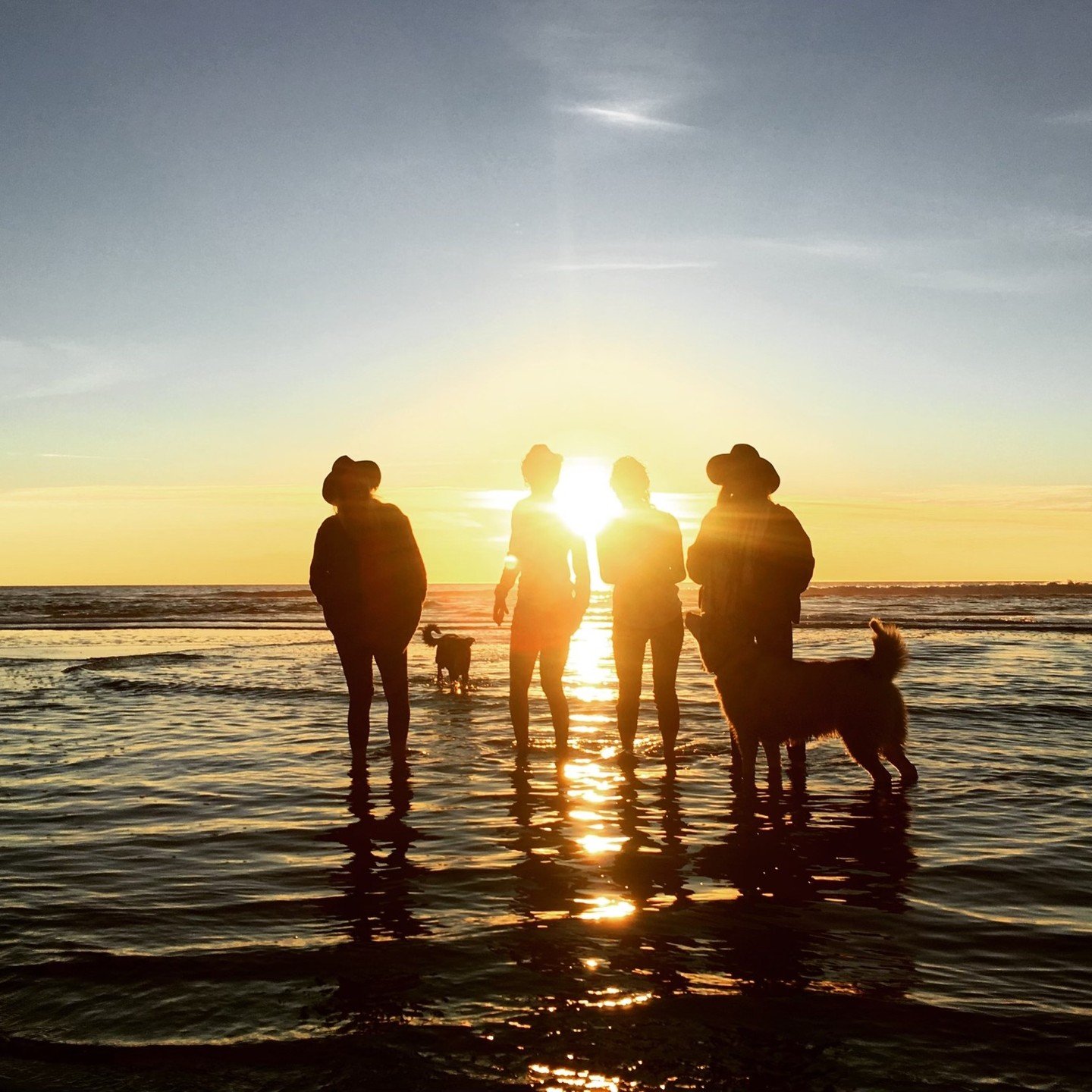 Join us tonight for a regular meeting of the Board of Directors! 

7-8:30 pm at the Bolinas Firehouse, 100 Mesa Road

Our members are the core of our organization, and we want you to join us. Sign up to become a member today at bolinaslandtrust.org/m