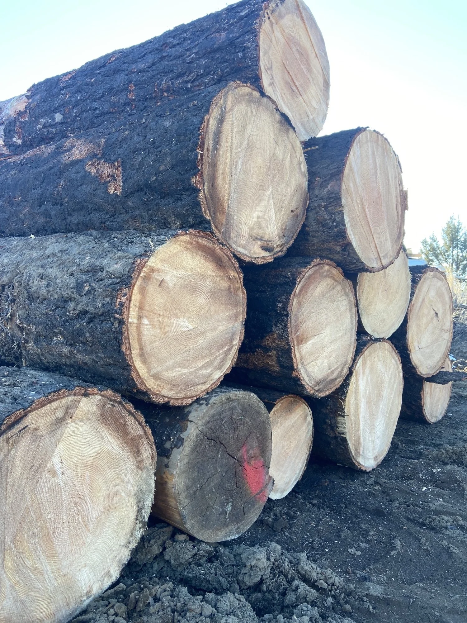 Products — Western Rim Milling