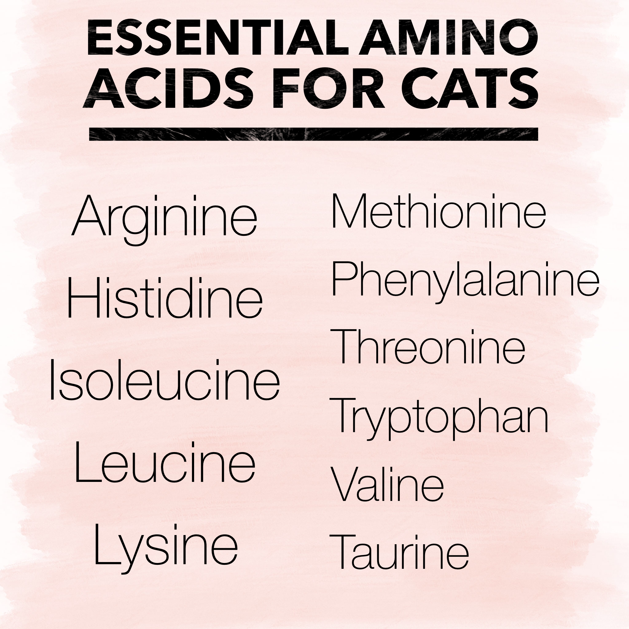 aminos.png