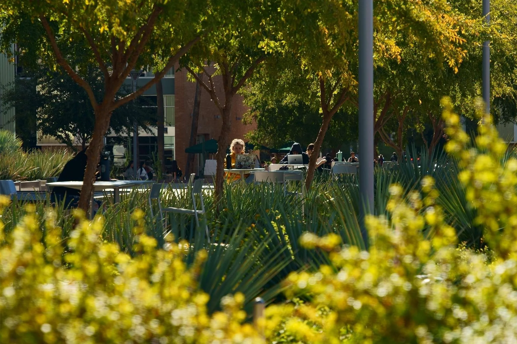 homepage background COMPRESSED.jpg