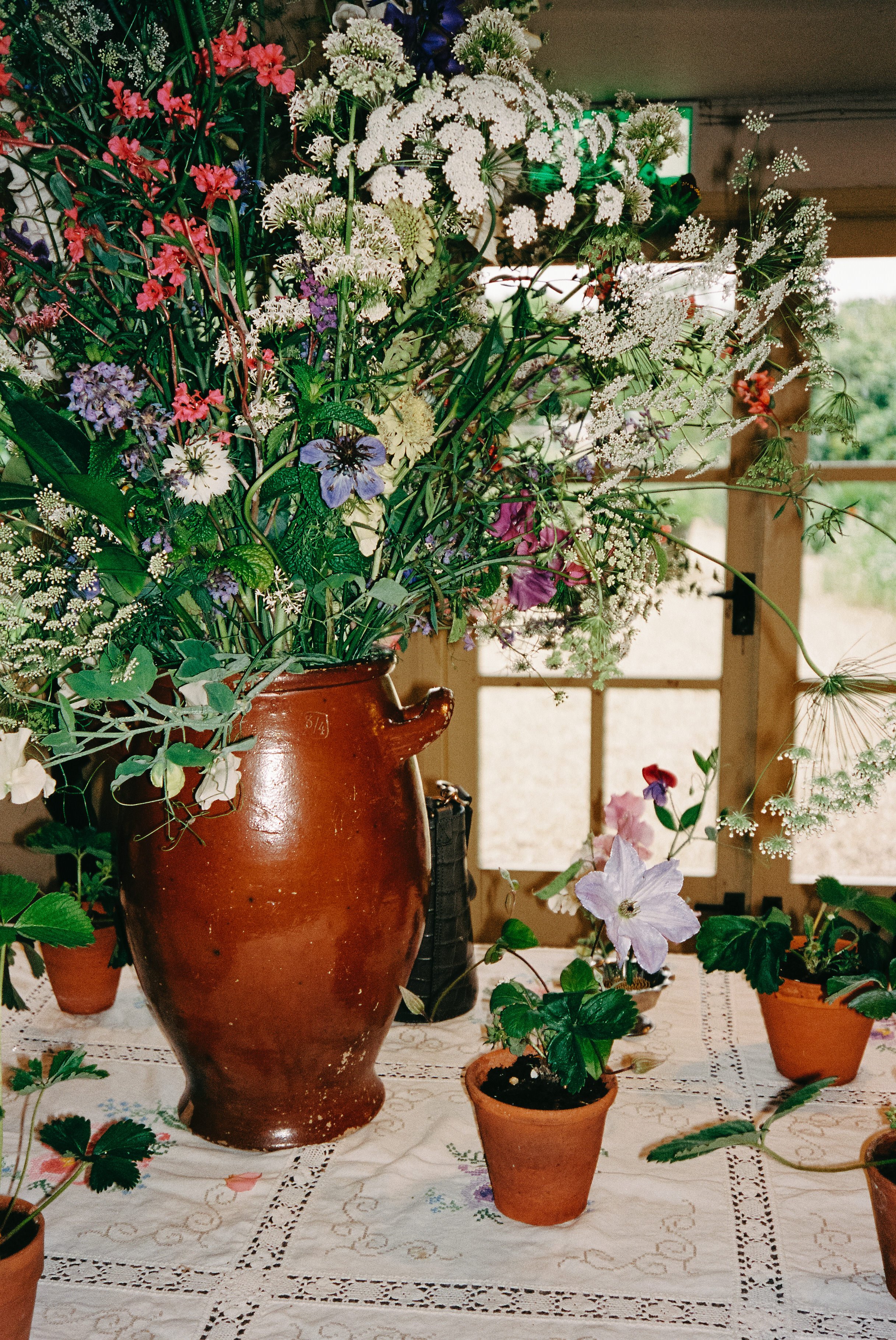 A+S35mm-23.jpg