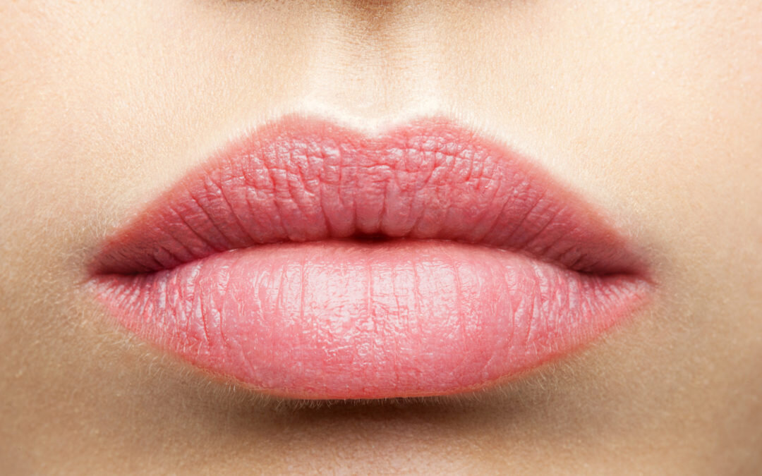 Lip Blush  Feather Touch Studio