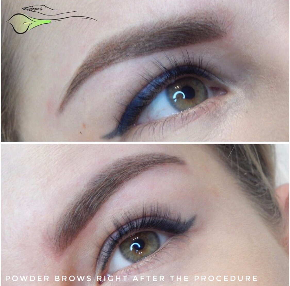 Powder Brows Healing Process Full Day by Day Overview  PMUHub