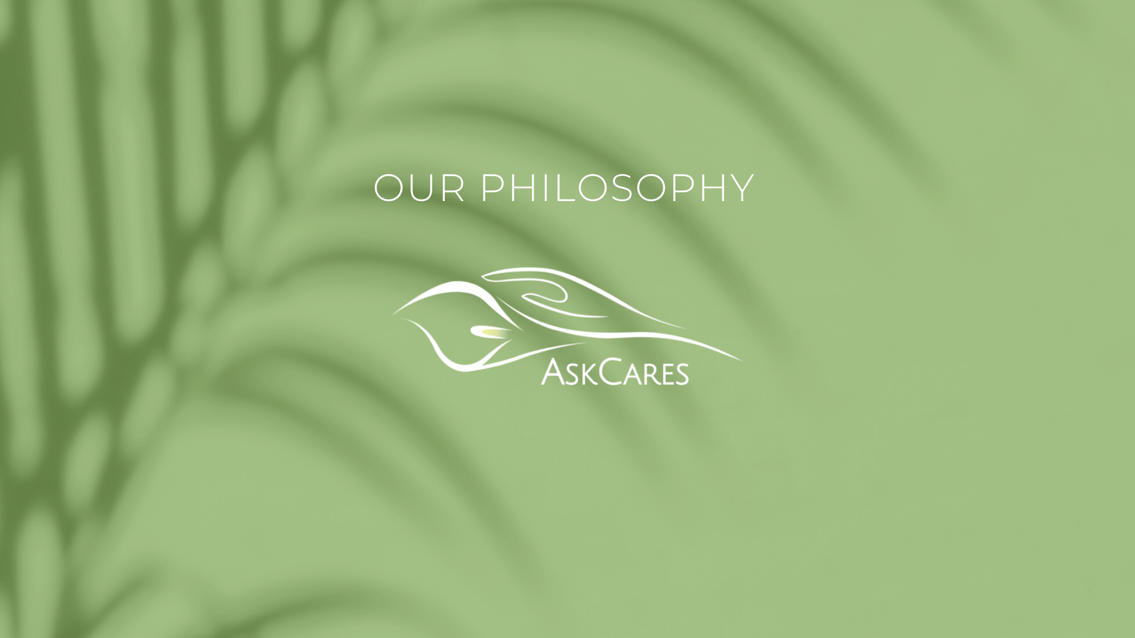 Skin Care Philosophy