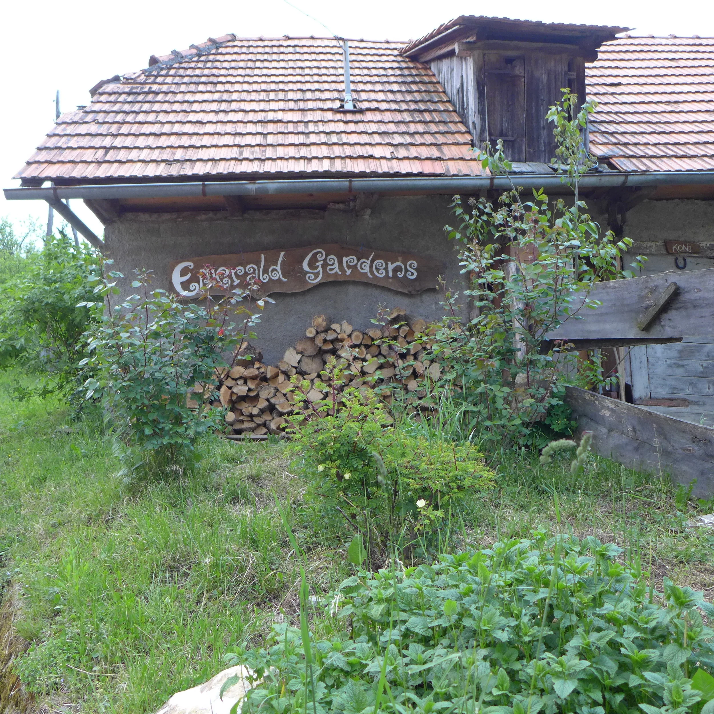 P1020186.JPG