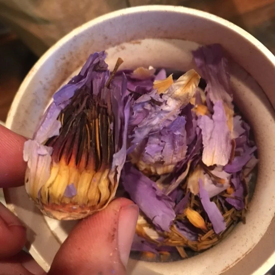 C77F516F-6F67-41B8-82C3-BA6A88B21B5B