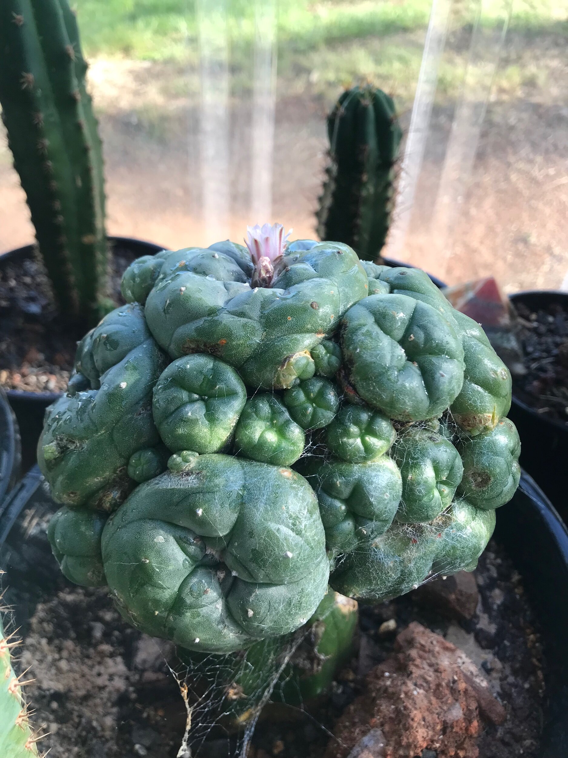 D3970633-63FC-4F20-A4B6-E83668C85EB1