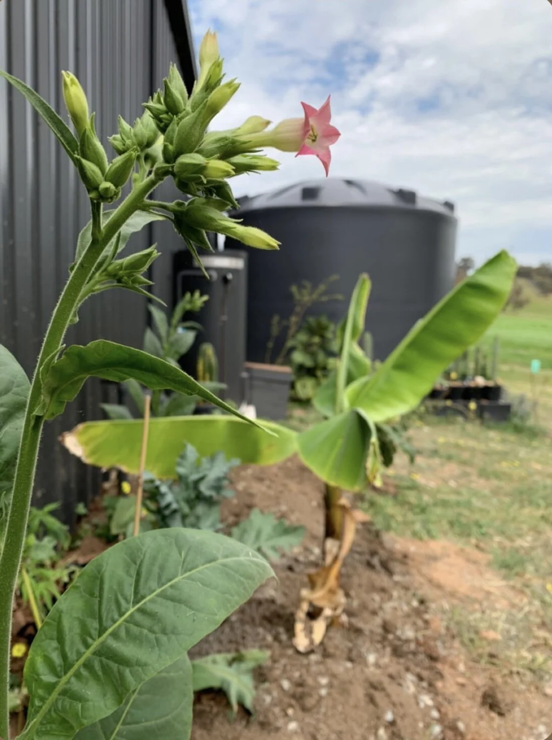 CAE4311A-0844-46A0-899E-9F1CA3ECE668