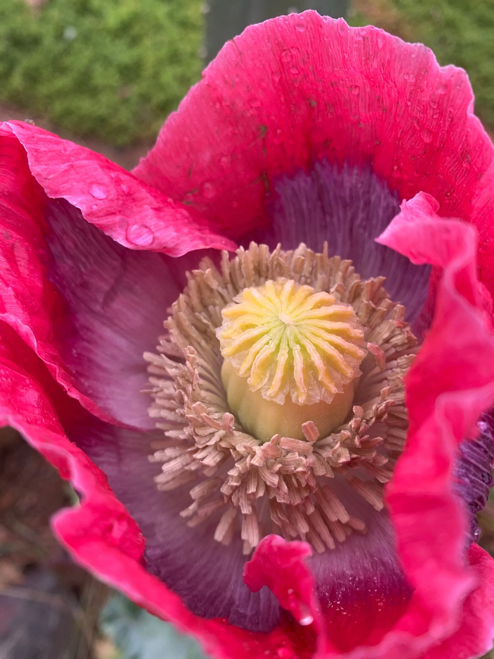 D0D88787-9784-4B4C-BC3B-8135873886B5