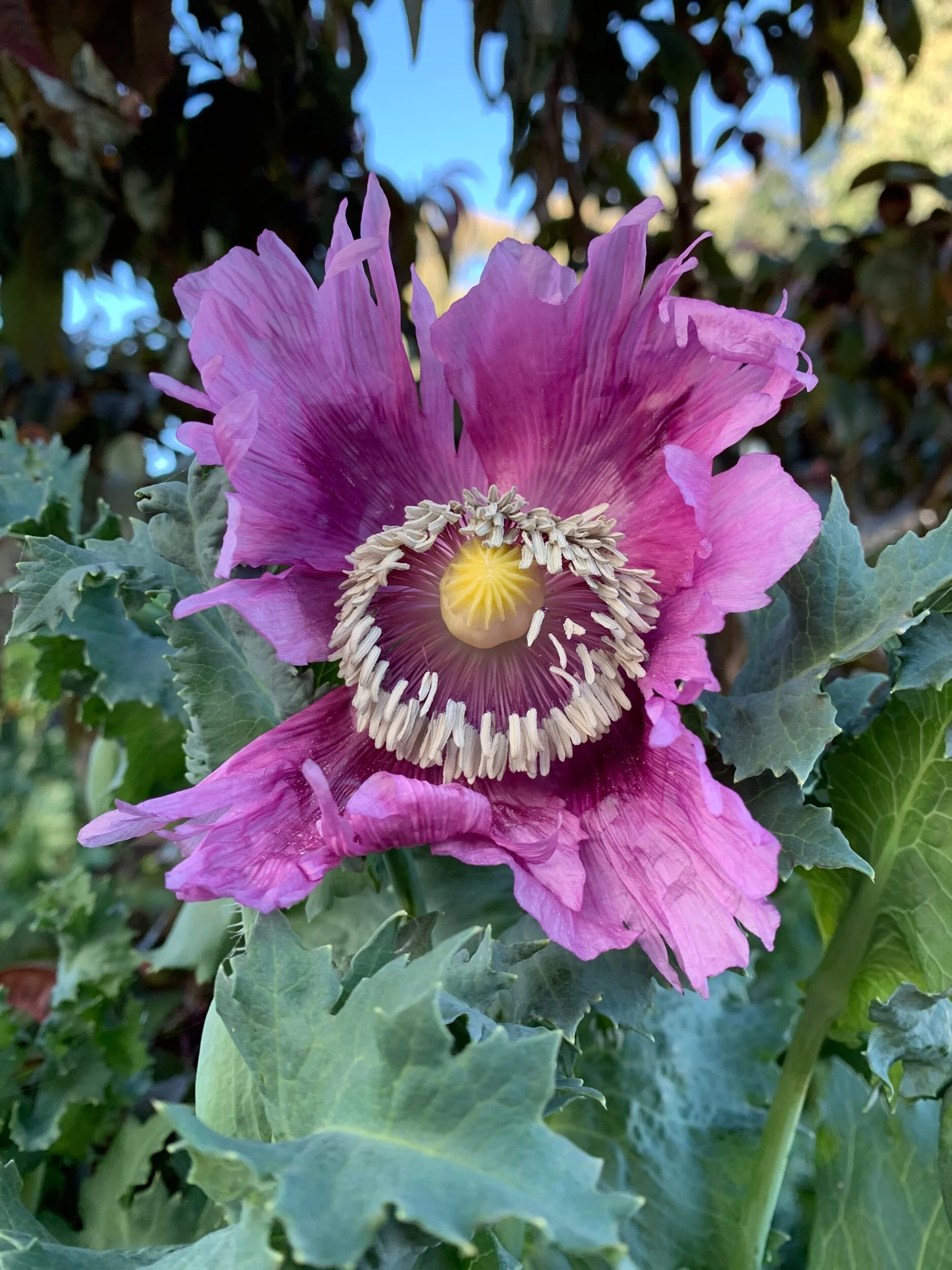 C088360C-D345-479E-923E-96B03AE235B2