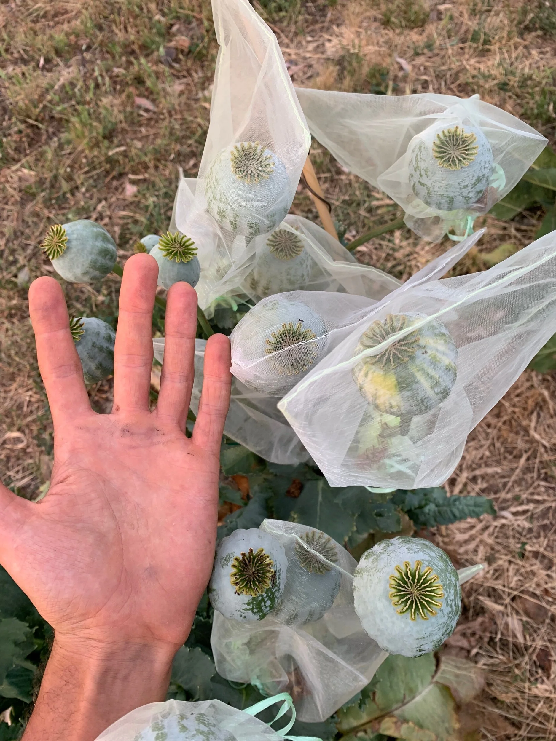 A7C43B09-6A23-4EB0-86DD-C1213FBD30B0