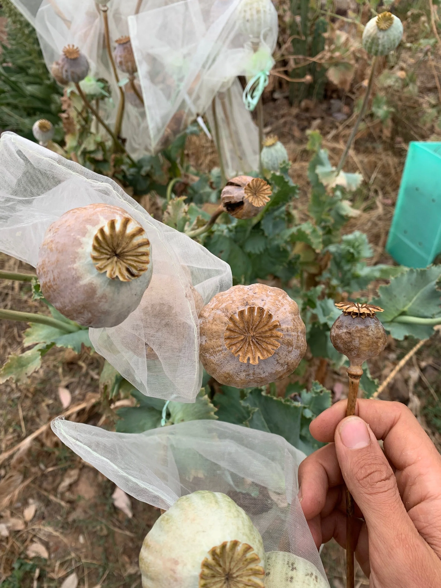 5950CE41-F5E9-4A65-8EAB-BEF7CB6172C4