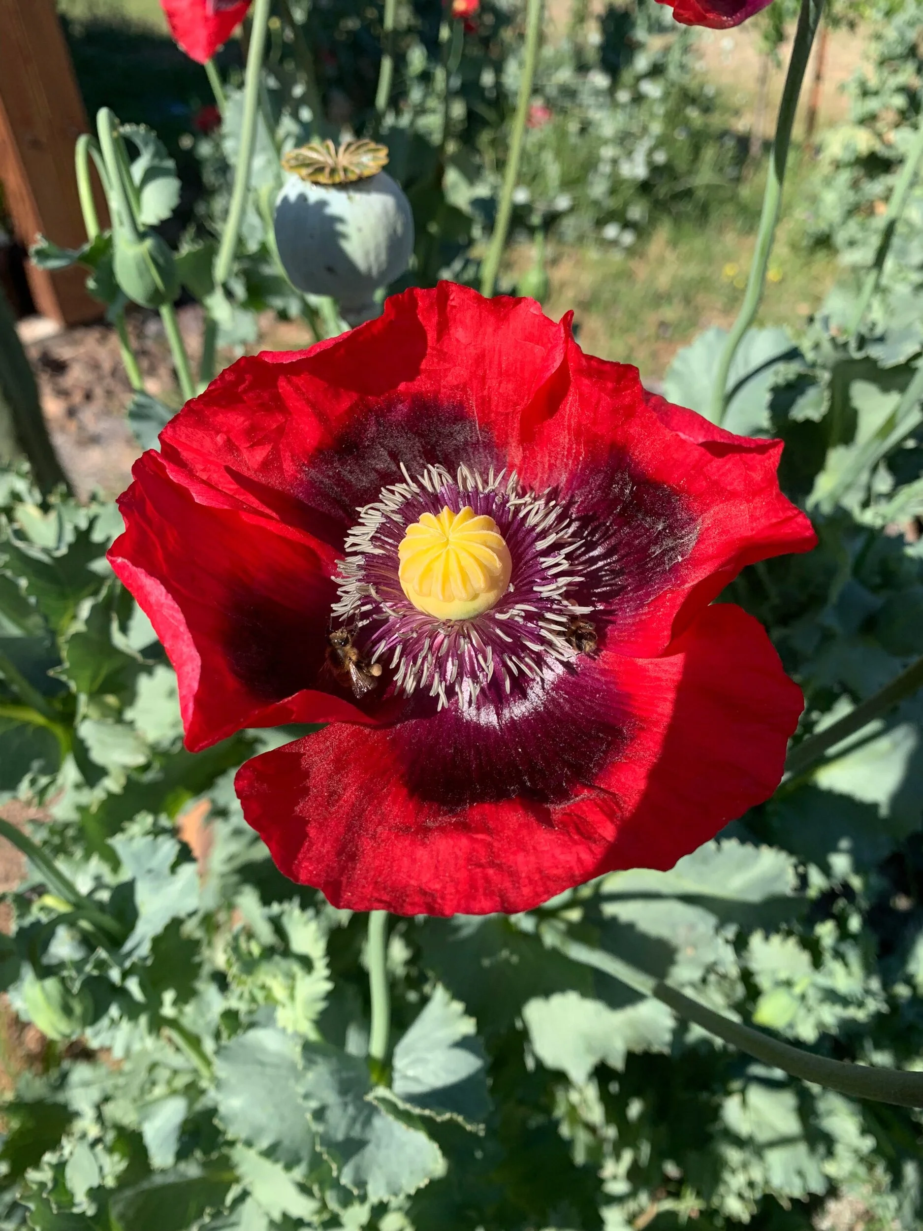 9954B24E-1A24-4E8B-AE5F-A6C37B41F59E