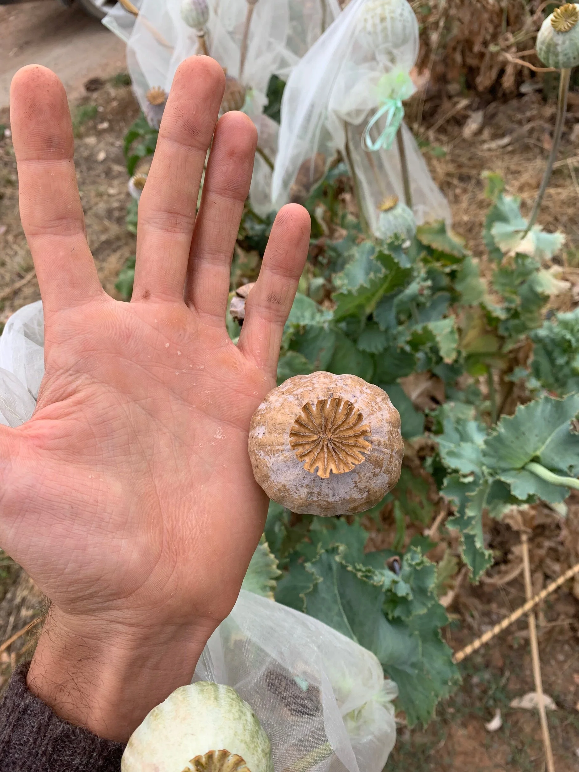 3D435377-3619-46A2-8490-AC7286E7F1A0