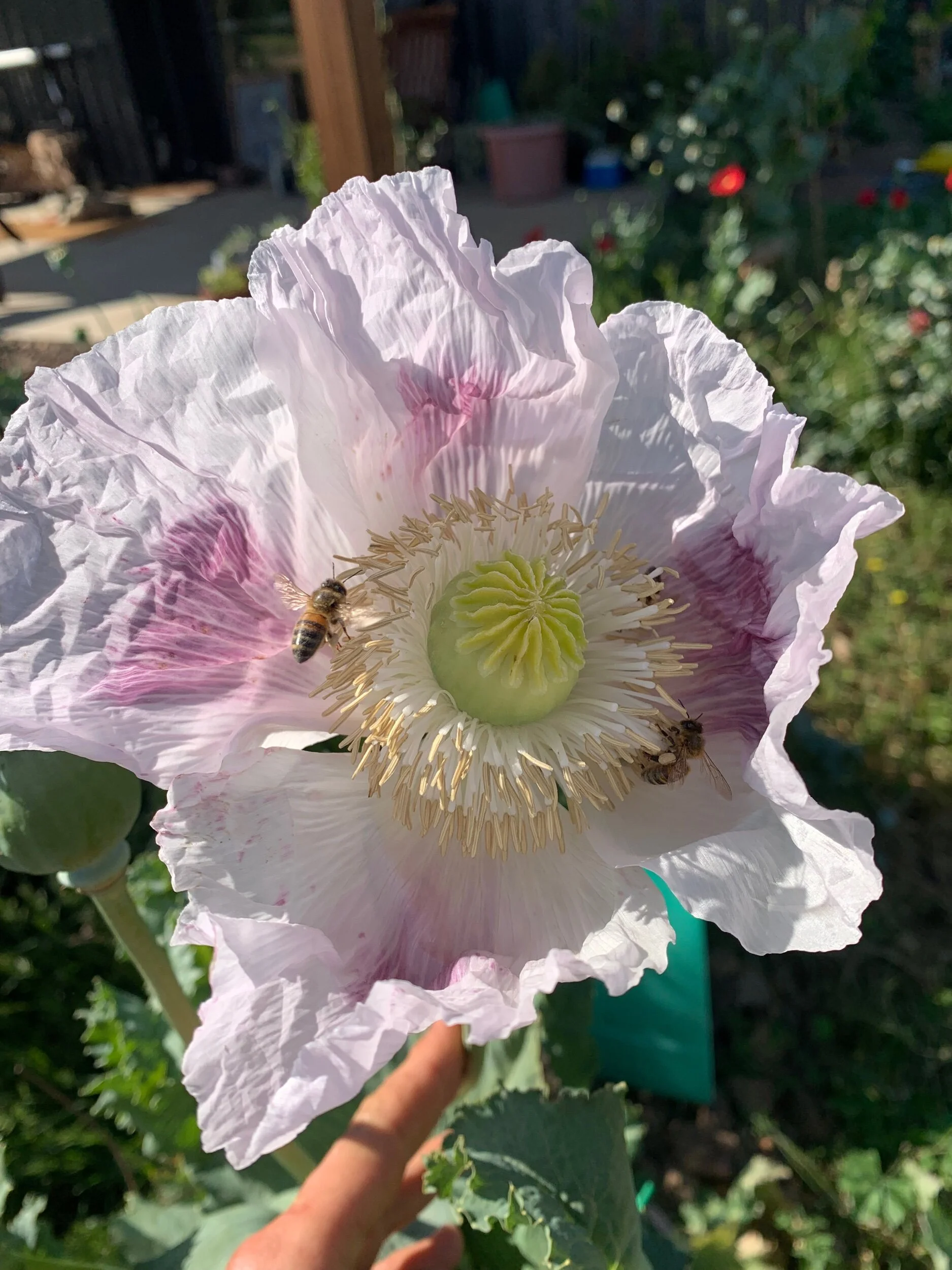 47B27DAB-ECB5-4730-94AB-9F6FDC3D41F9