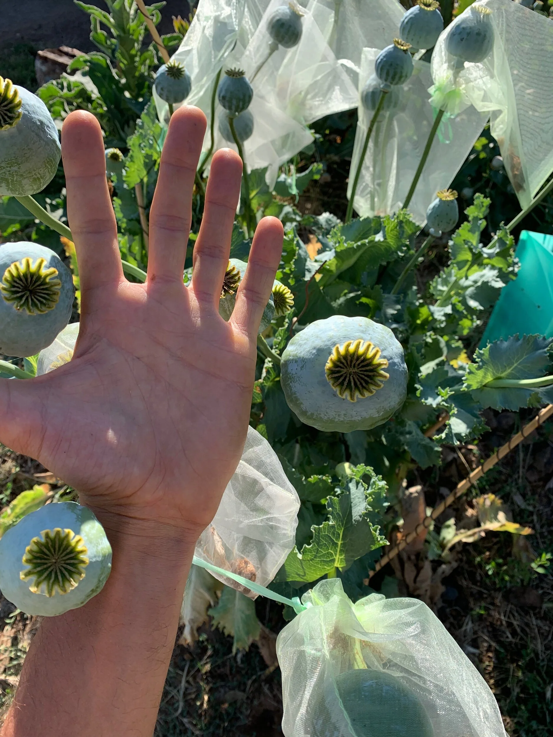 7927D612-2351-4D83-B7B2-79438D5924C3