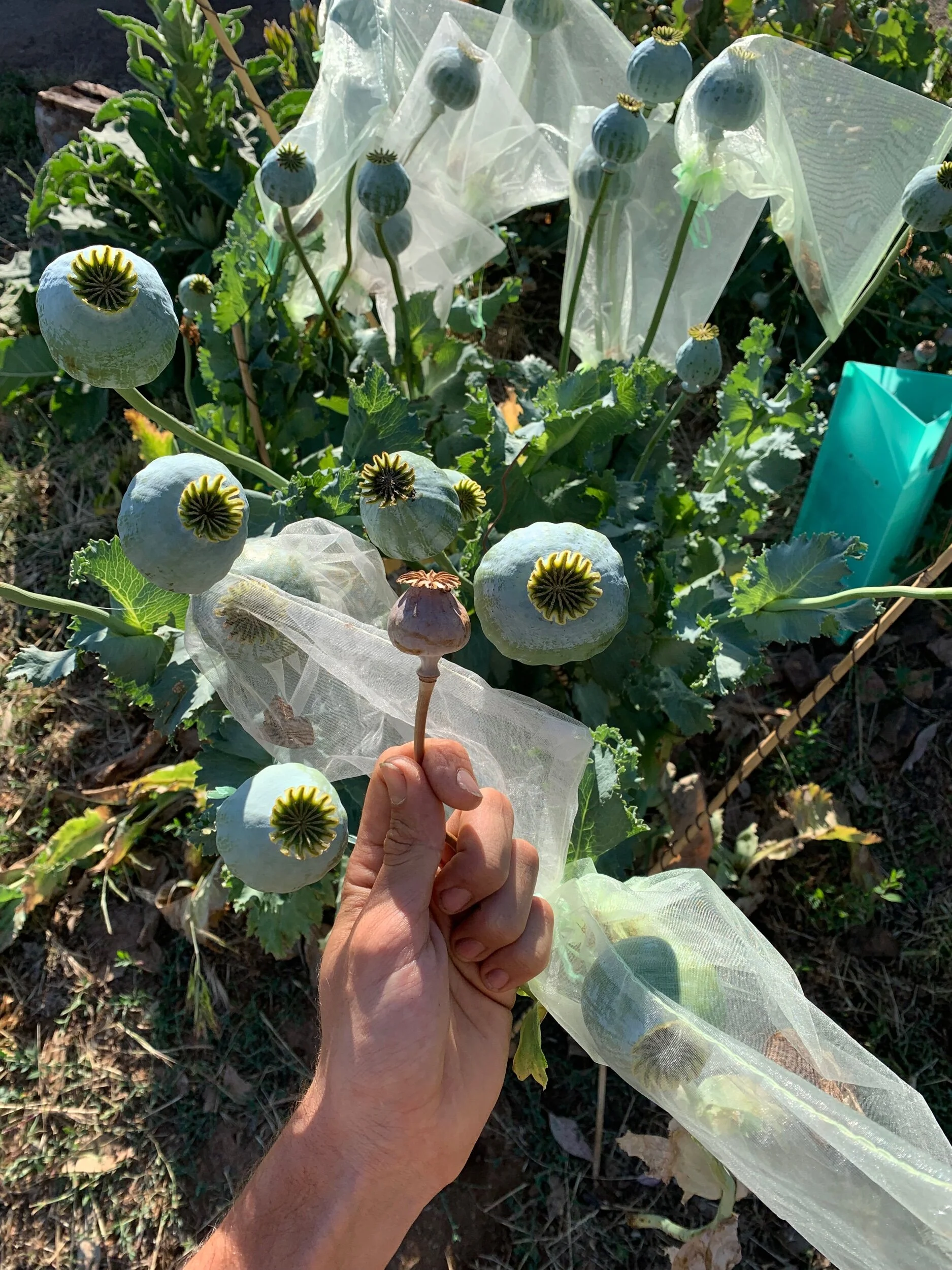 9744FC85-F416-40ED-BD90-8C06F7CCFC59