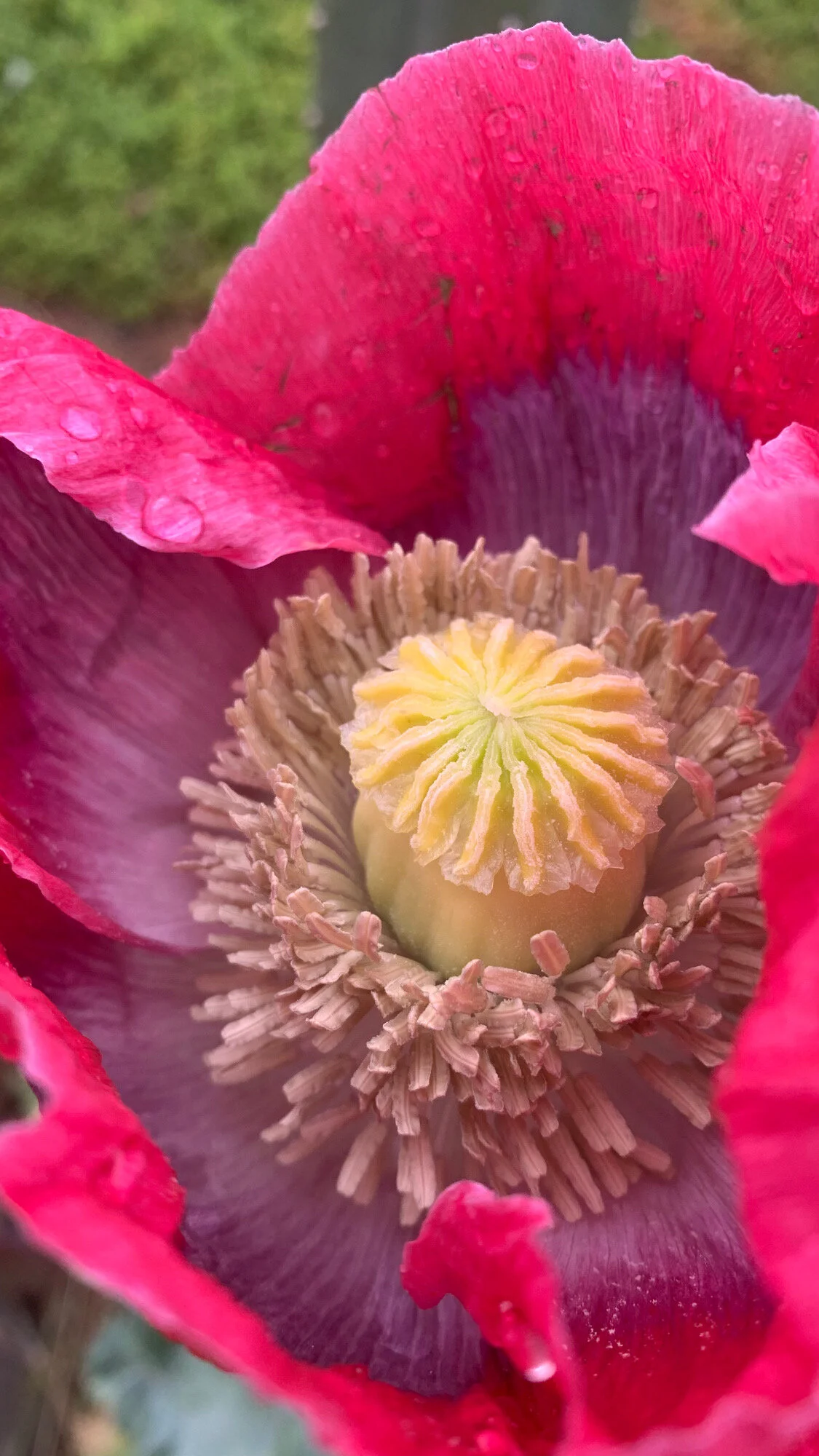 F1E3FB5A-6CF9-47A4-9C76-DEB87837756A