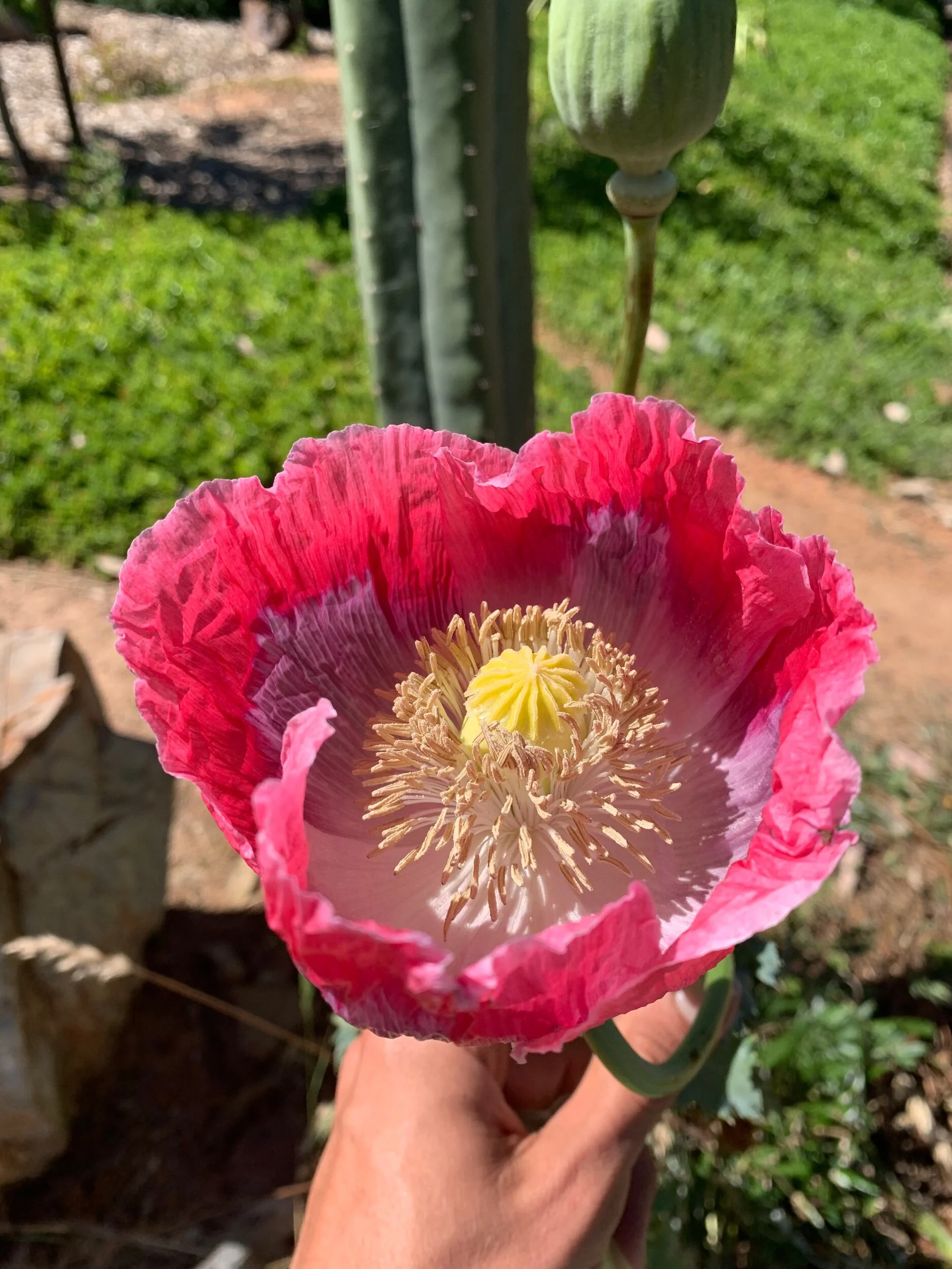 48E0E3E0-1E82-4D35-842C-BFAA281D5D2A