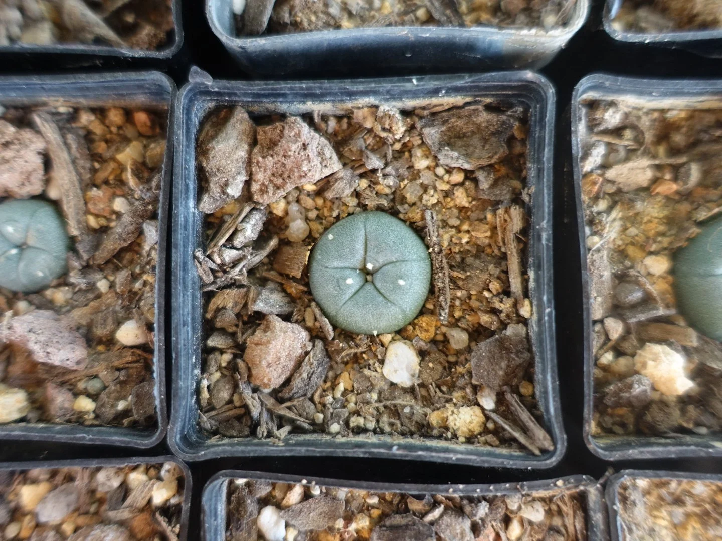 0EB9E8B4-BC65-4118-95E1-6F006D4578AD