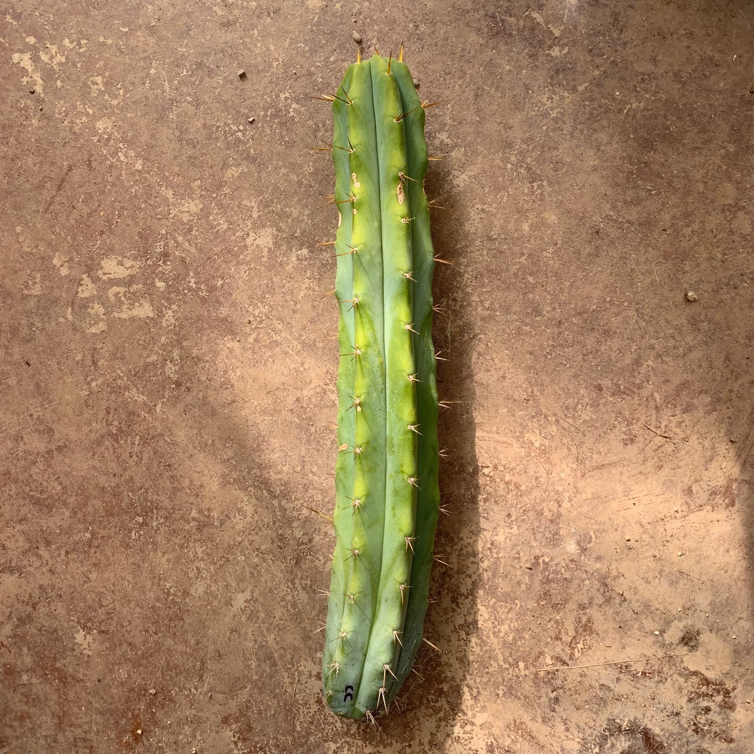 F267BC80-4DBC-4366-AD1D-5DA8F5256A85