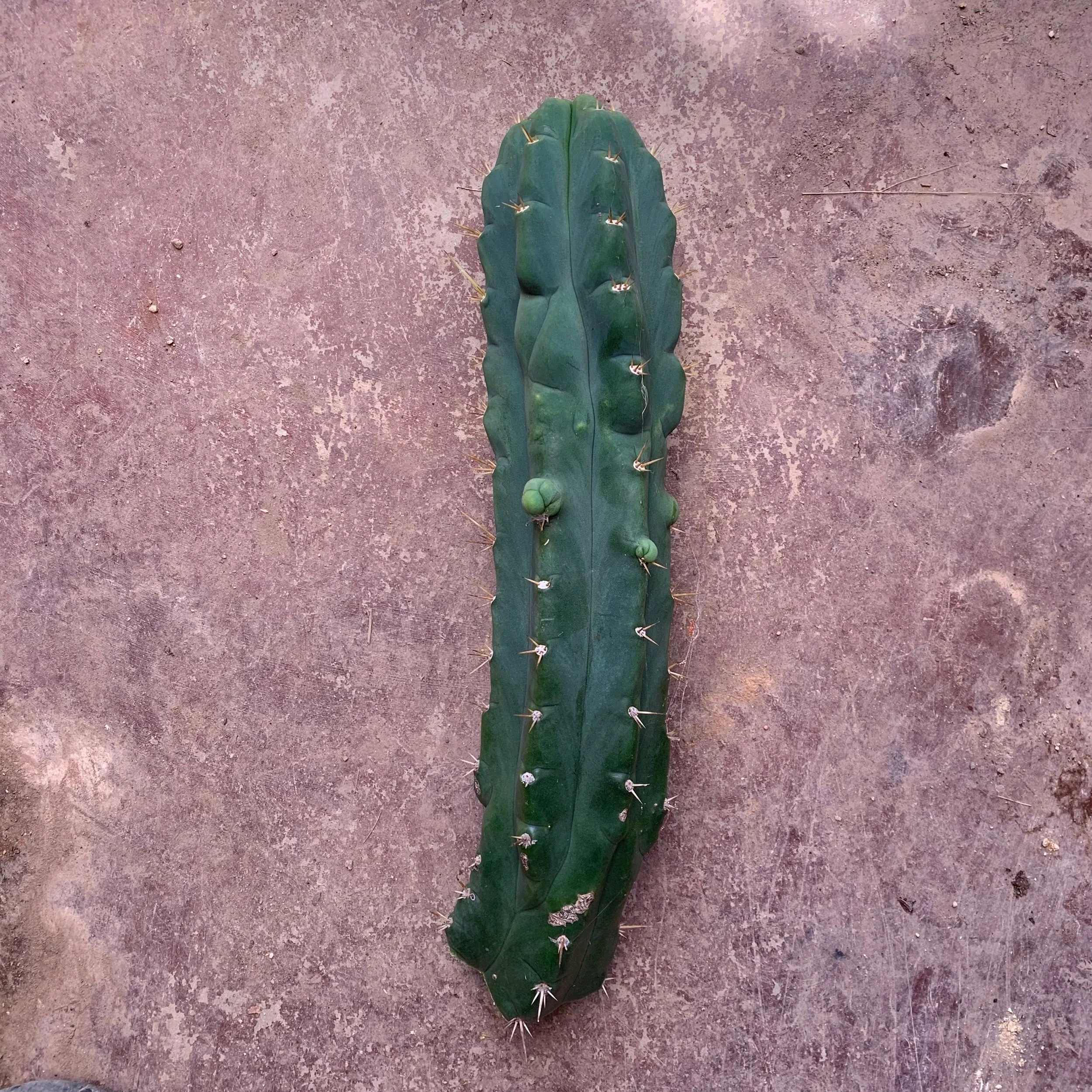 C753237C-8250-4F6A-A563-03D9BF9949BF